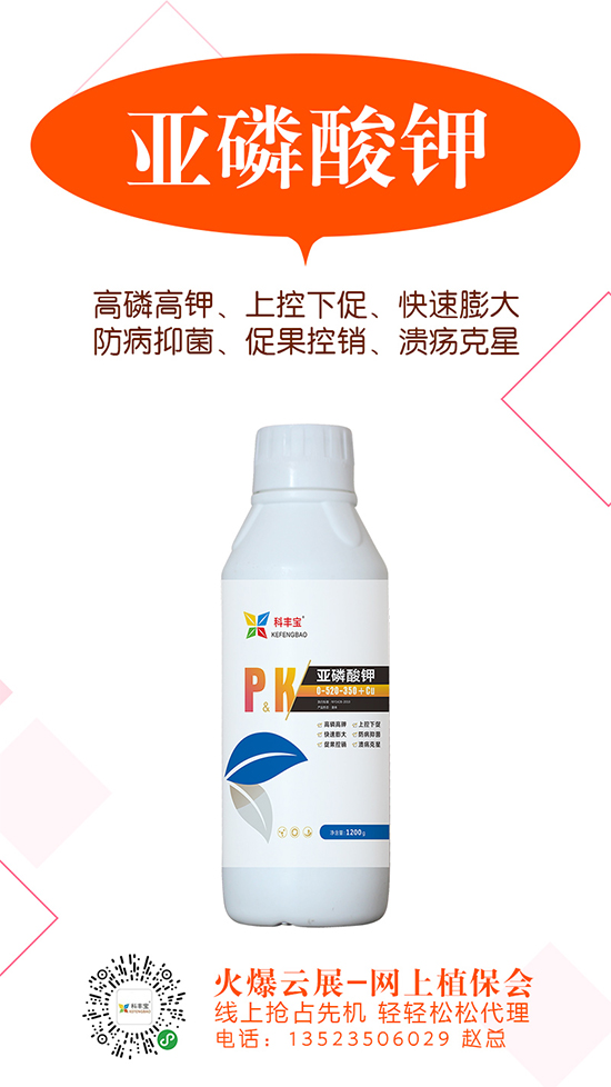2020-5-21硫酸鉀主流出廠(chǎng)報(bào)價(jià)一覽 2020-5-21硫酸鉀主流出廠(chǎng)報(bào)價(jià)一覽