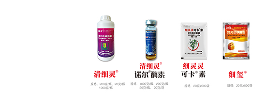 熒光假單細胞-細璽-農墾 熒光假單細胞-細璽-農墾