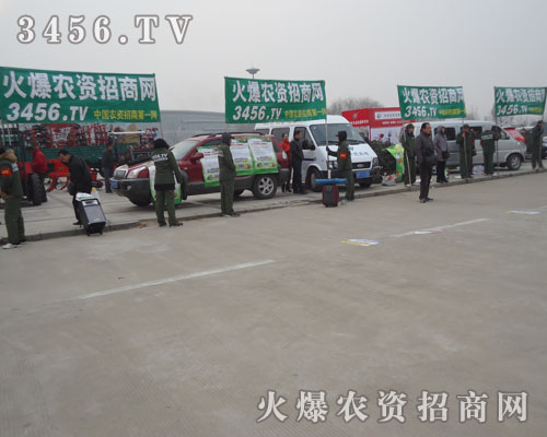 3456.TV҂