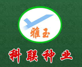 ĴϿNI(y)؟ι˾