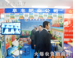SʘI(y)2013շpϻ