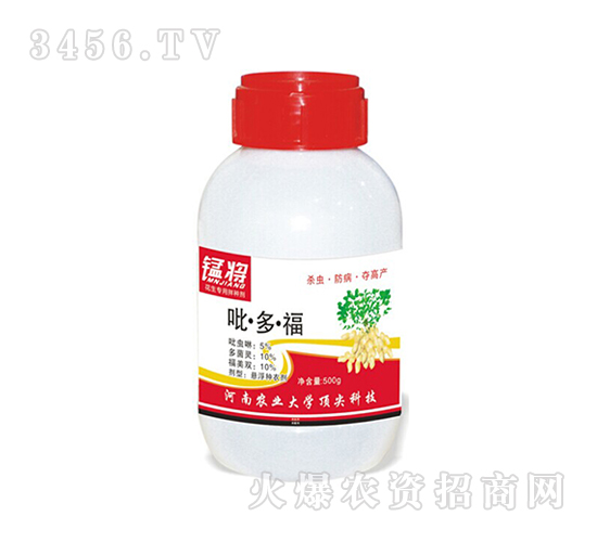 500g˻N-͌
