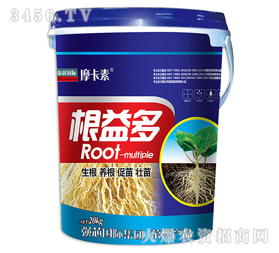 -Ħ-(qing)о