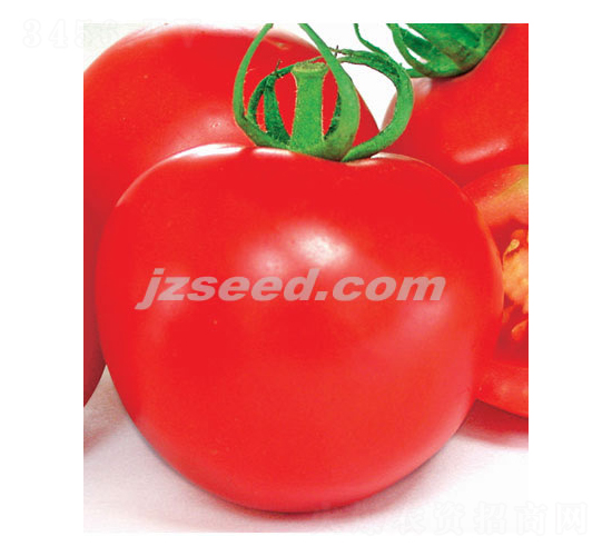 ă(yu)t-ѷN-FNI(y)