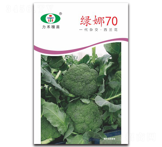 G70-mN-rI(y)