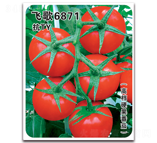 w6871-ѷN-wrI(y)