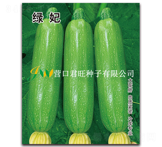 G-JN-I(yng)ھ