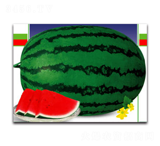 ̖-ϷN-ӯr(nng)I(y)