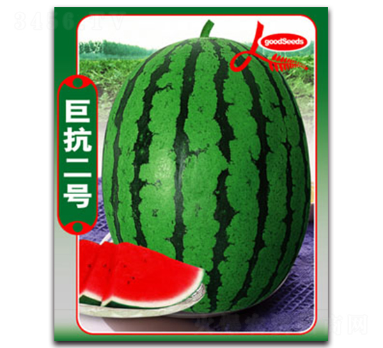 ޿̖-ϷN-ӯr(nng)I(y)