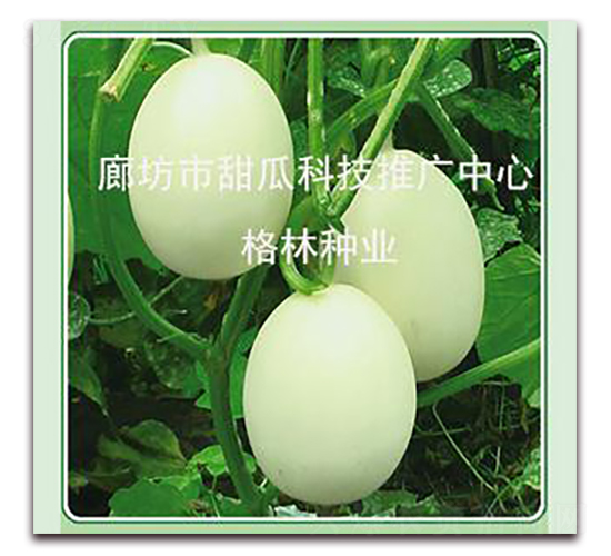 Ǵ-ϷN-(i)NI(y)