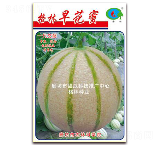 绨-ϷN-NI(y)