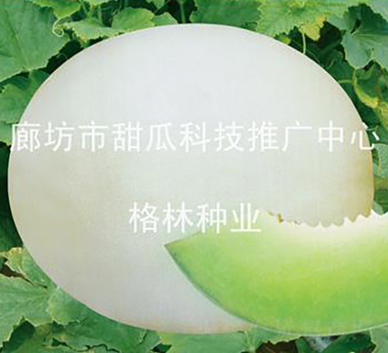 Z-ϷN-NI(y)