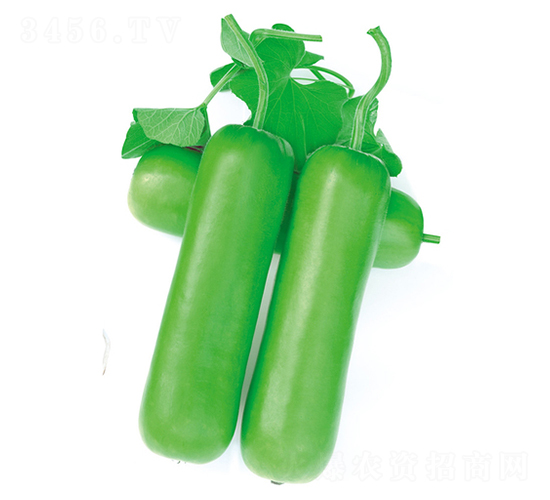 ưһ̖-ѹϷN-