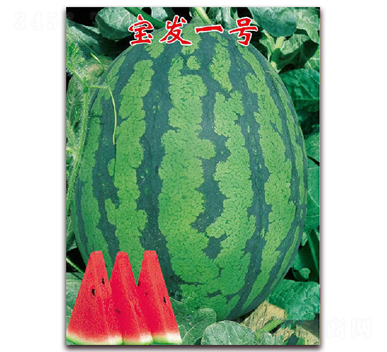 l(f)һ̖(ho)-ϷN-|