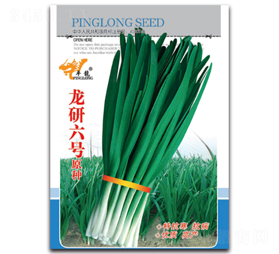龍研六號原種-韭菜種子-平龍種業(yè)