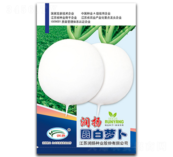 潤(rùn)揚(yáng)圓白蘿卜-蘿卜種子-潤(rùn)揚(yáng)種業(yè)