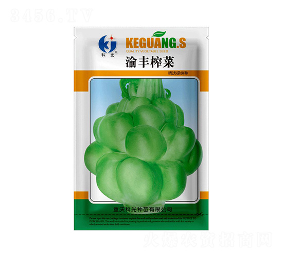 渝豐榨菜-科光種苗