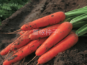 鸣918-}N-BrI(y)