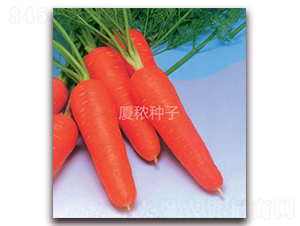 鸣518-}N-BrI(y)