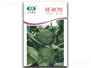 G70-mN-rI(y)