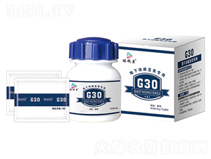 Ko(li)a(chn)ײ-G30-uX(qin)