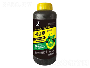 有機(jī)蛋白生根酶-海峽農(nóng)業(yè)
