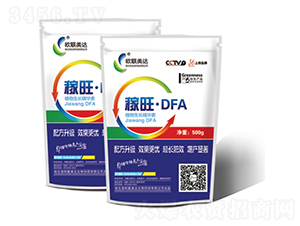 DFA-W(lin)_