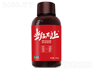 250mlNӱo-t׌-շ