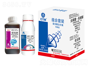 x(chng)Q-Mb-tf(wn)-l(xing)弾L(fng)-˹r(nng) 