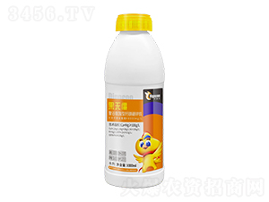 ۹Ȱ}V\F1000ml-o(w)-ع