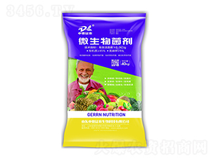 ΢40kg-еr(nng)